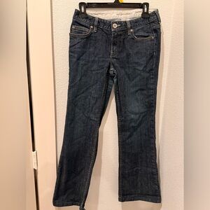 Banana Republic Dark Blue Boot Cut Jeans